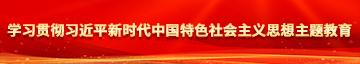 www.欧美后入后入学习贯彻习近平新时代中国特色社会主义思想主题教育